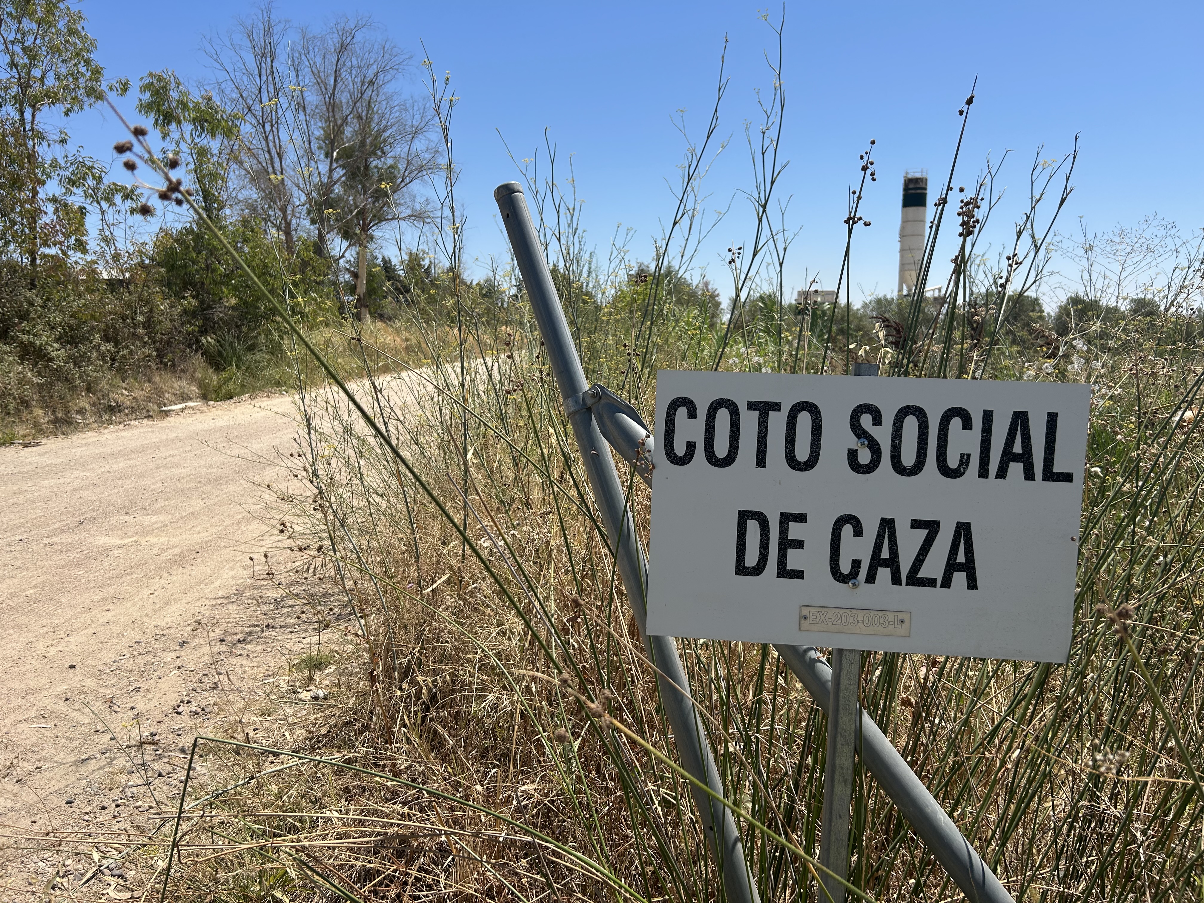 Imagen de portada