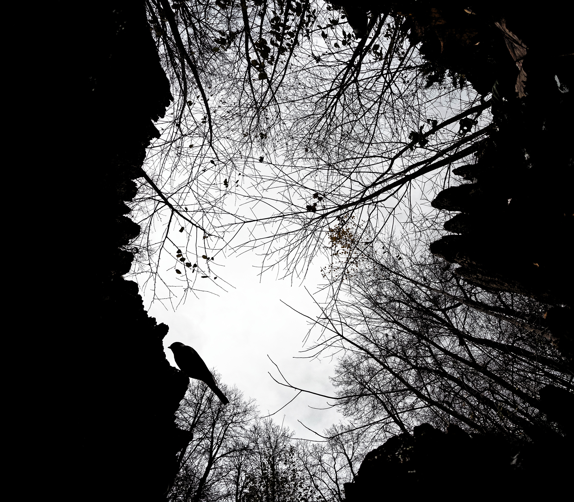 Autumn air - Marina Gavrikova - Ganadora Jóvenes fotografos