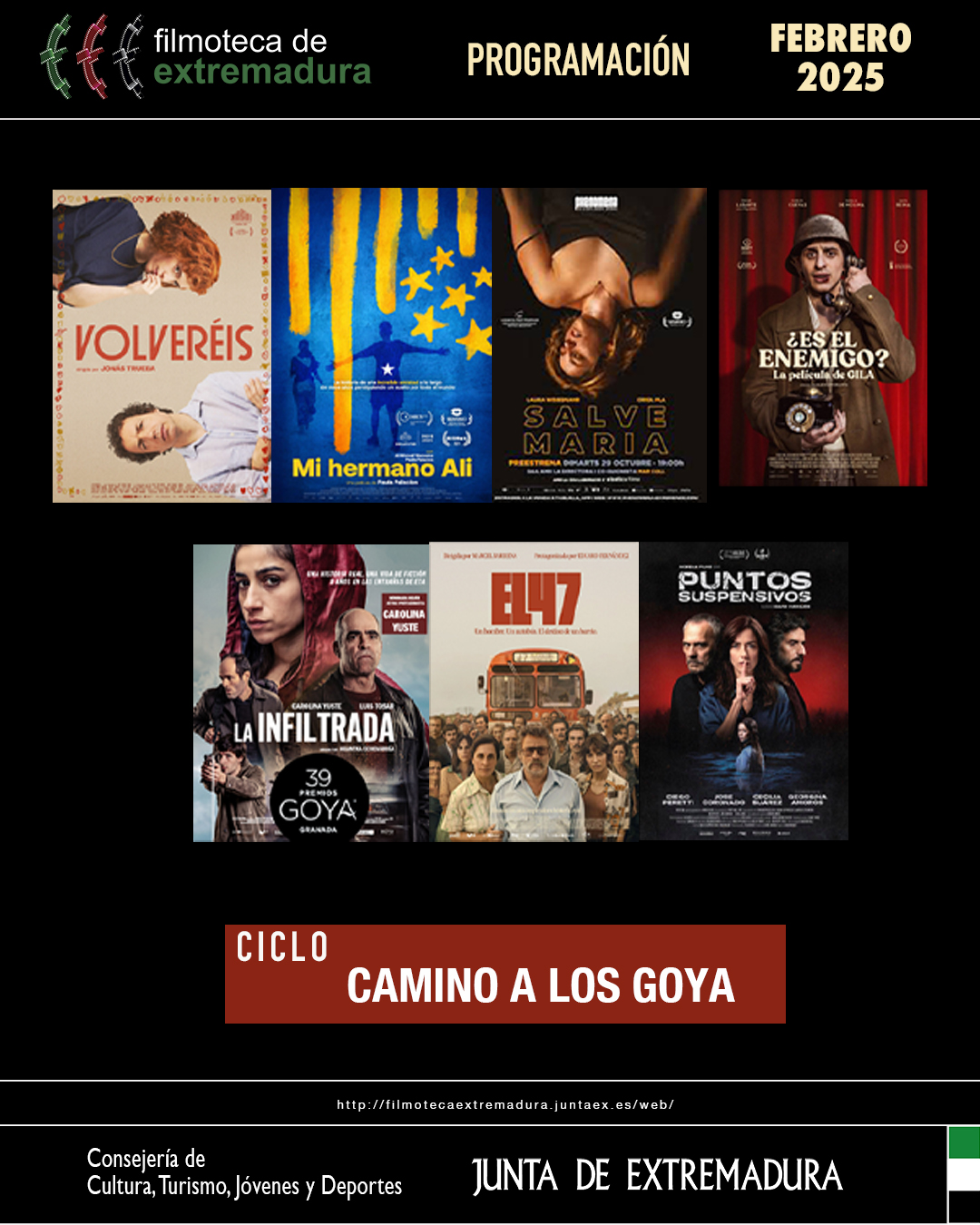 Ciclo Camino Goya