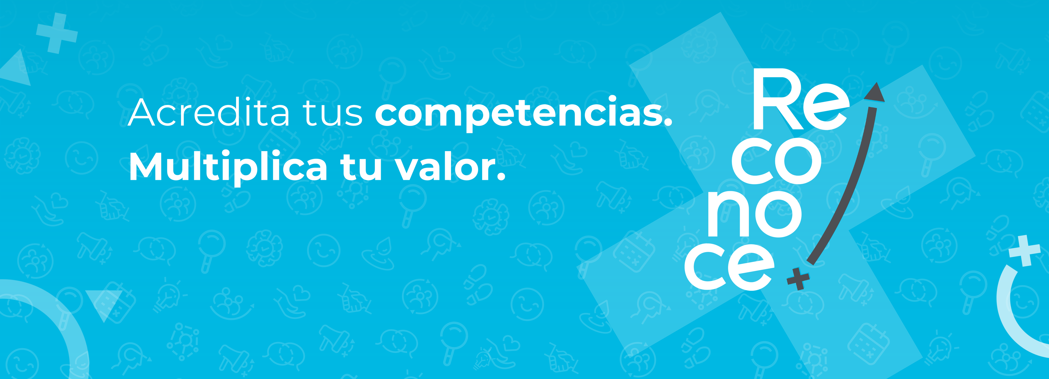 Foto de la noticia