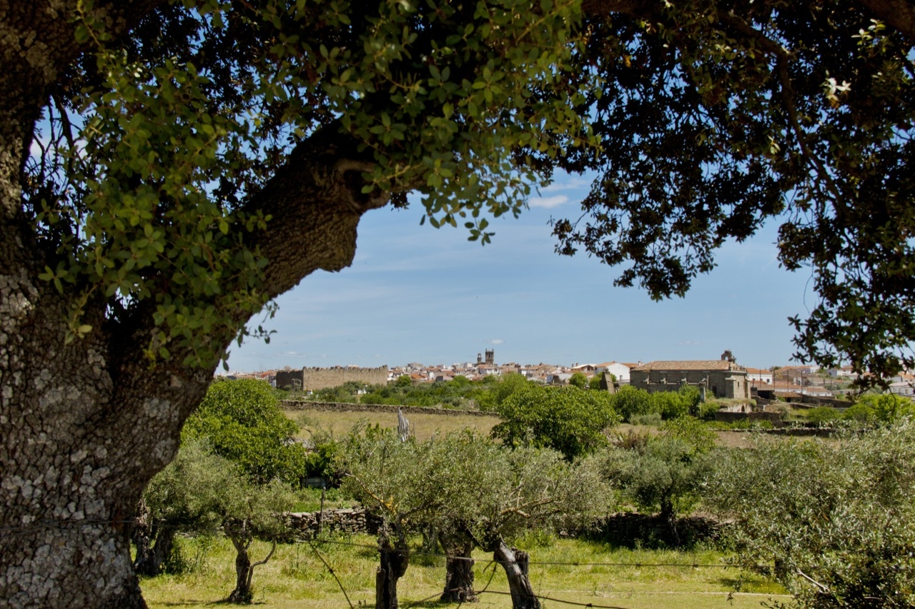 Imagen del artículo La Junta pone en marcha las primeras medidas de la Estrategia de Turismo Interior con 12 rutas guiadas por Extremadura