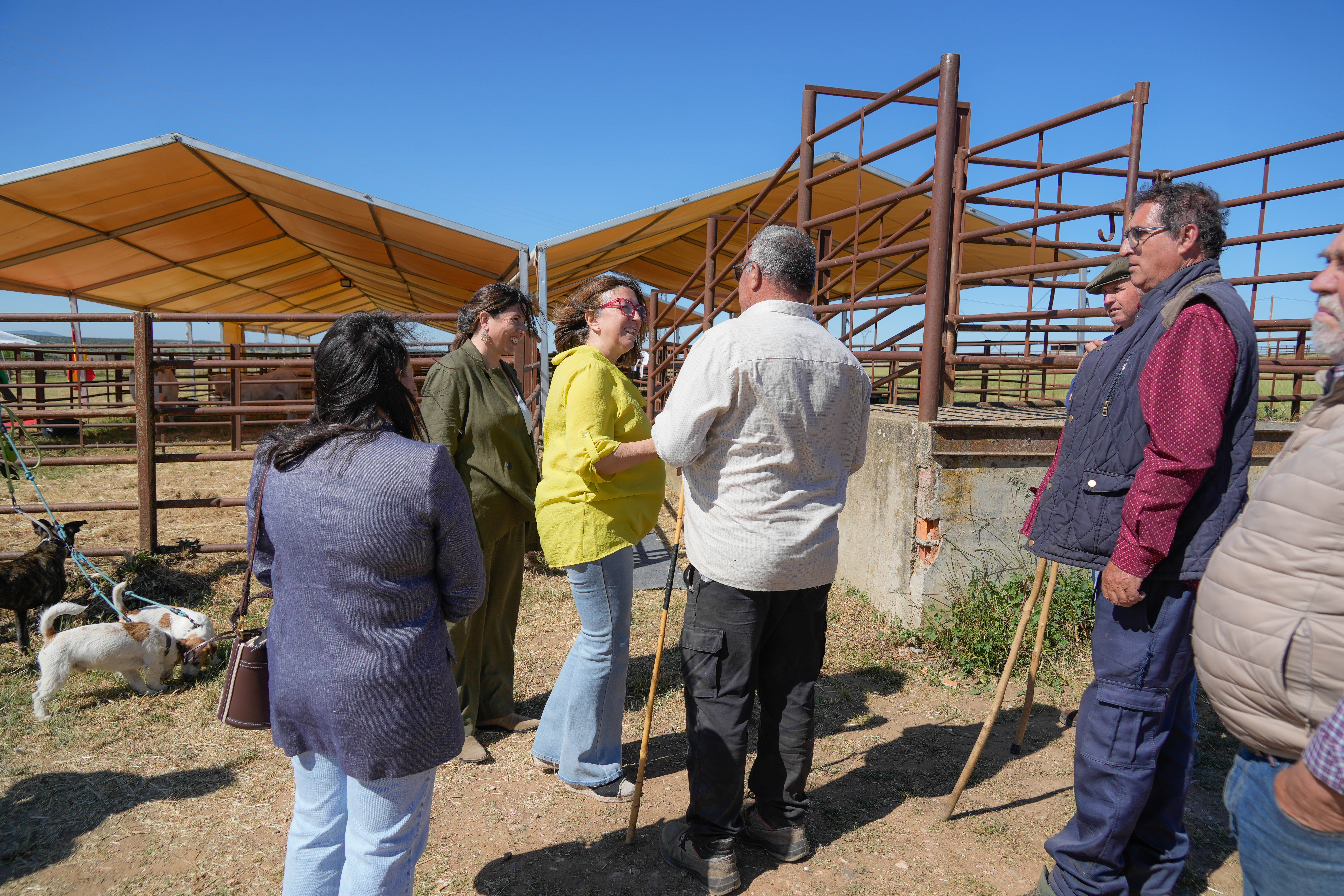 Imagen del artículo Mercedes Morán inaugura la I Feria de Ganado de Torremocha reafirmando su compromiso con el sector ganadero regional