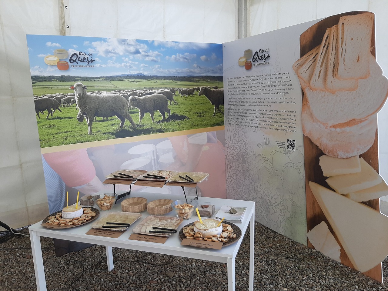 Image 1 of article La Junta inicia los trabajos para la actualización de la Estrategia Regional de Turismo Gastronómico