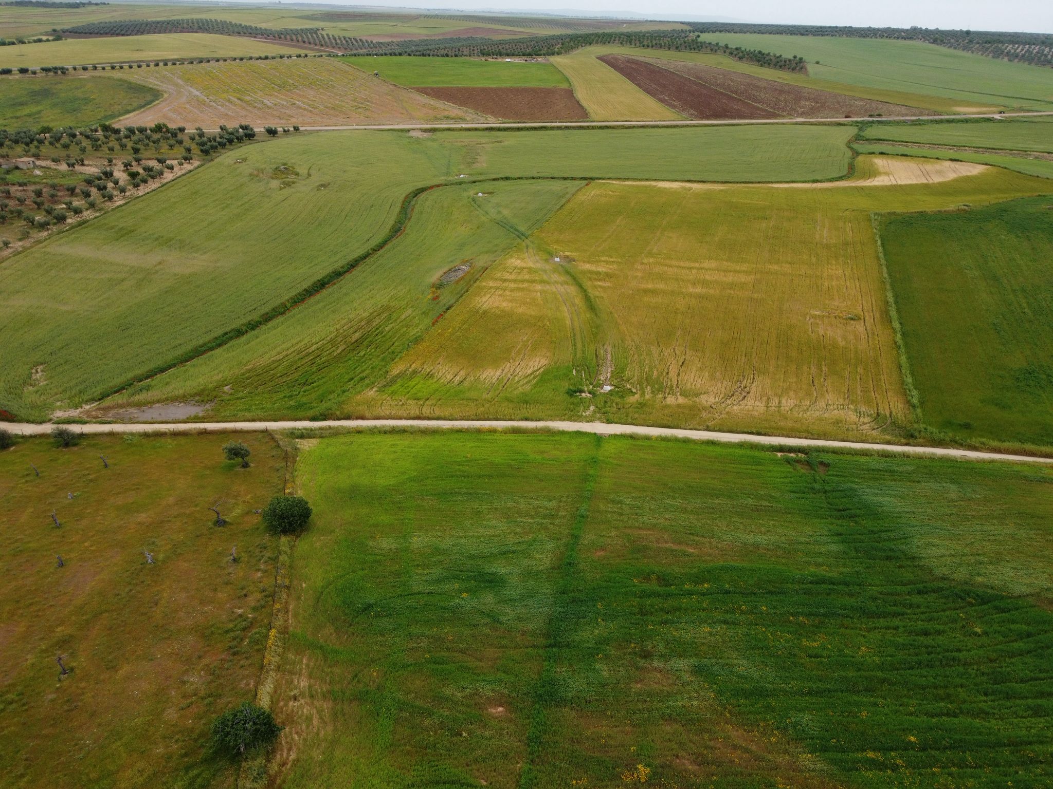 Imagen del artículo La Junta invierte más de 600.000 euros en la mejora del abastecimiento de agua en Higuera de Llerena y Rubiales