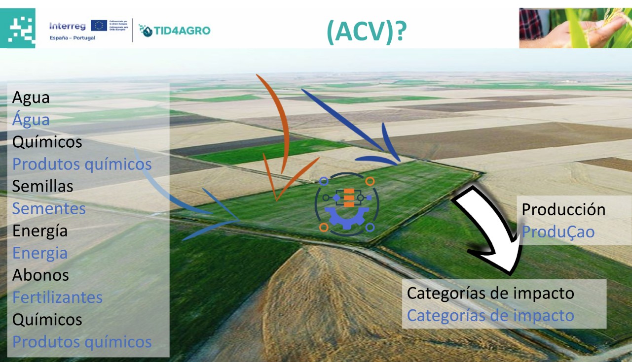 Imagen del artículo CICYTEX presenta en Mérida nuevas aplicaciones y herramientas para el desarrollo de soluciones digitales en el sector agroalimentario