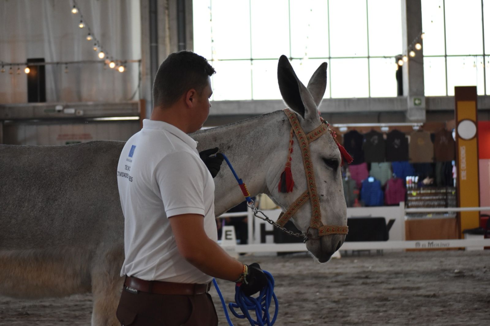 Image 4 of article El CENSYRA recibe un reconocimiento por su trabajo en el sector equino durante la celebración de la Feria del Toro y del Caballo 2025