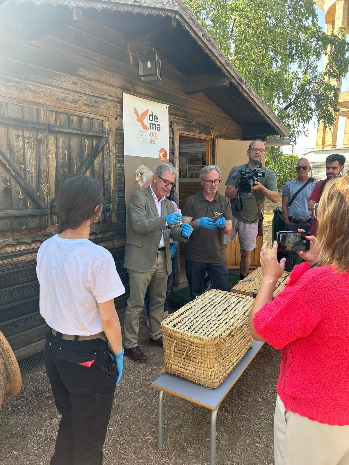 Image 4 of article La Junta participa en la suelta de un cernícalo primilla en el centro de cría de Defensa y Estudio del Medioambiente de Almendralejo