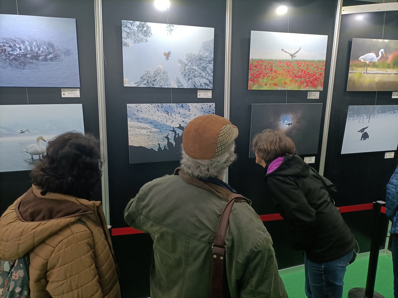 Image 2 of article La Junta de Extremadura promociona el concurso fotográfico de la Feria Internacional de Turismo Ornitológico en un festival especializado