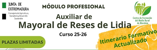 Imagen de portada
