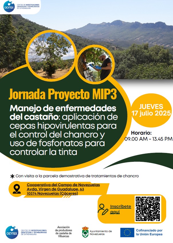 Programa de la jornada