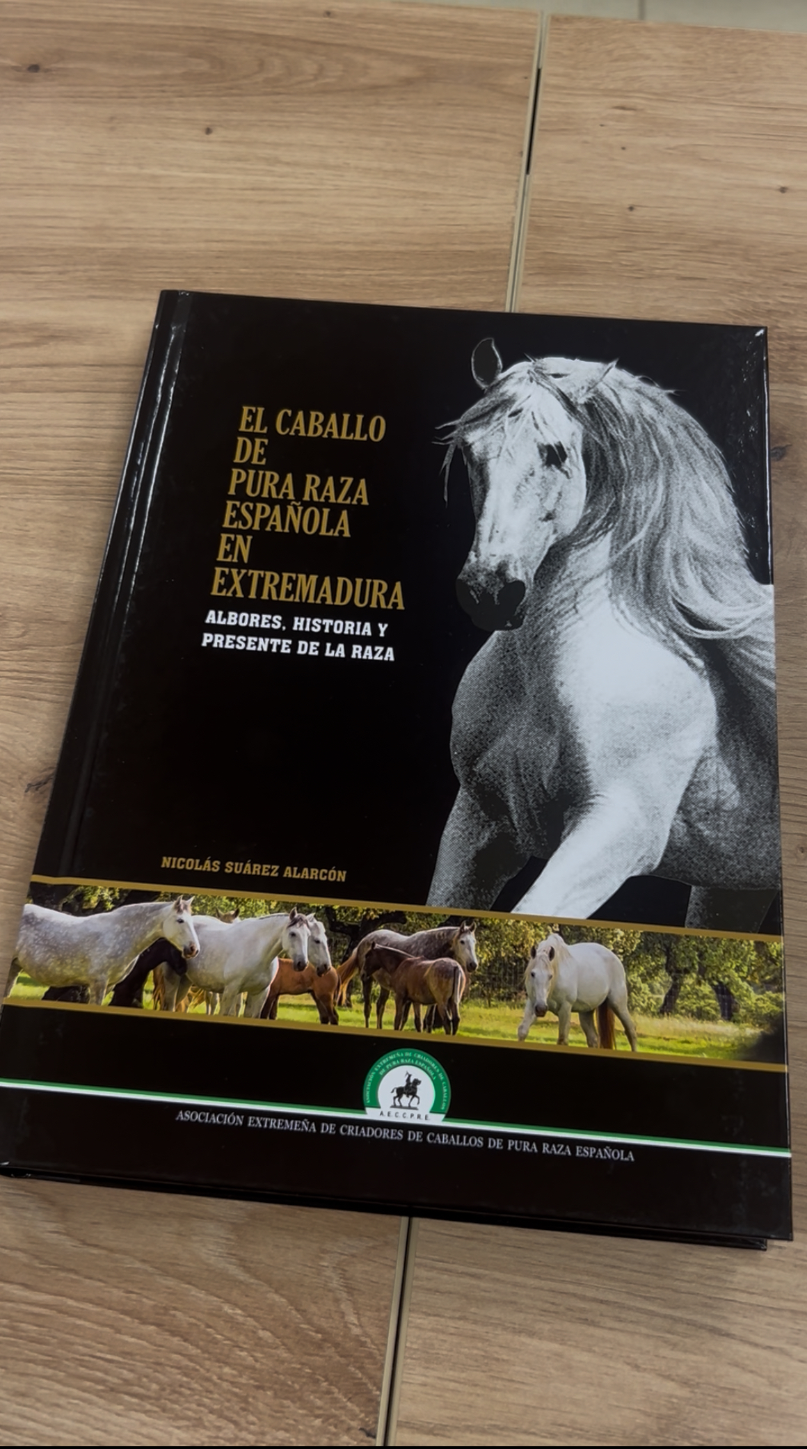 Image 5 of article Mercedes Morán destaca la excelencia del caballo de Pura Raza Española en la presentación de un libro clave sobre su legado
