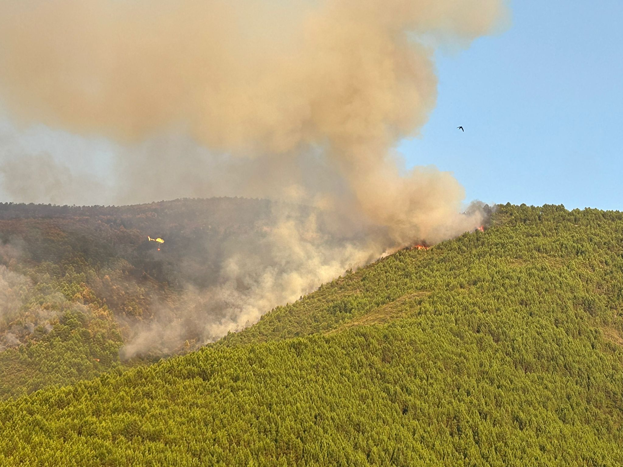 Incendio Las Hurdes foto 1