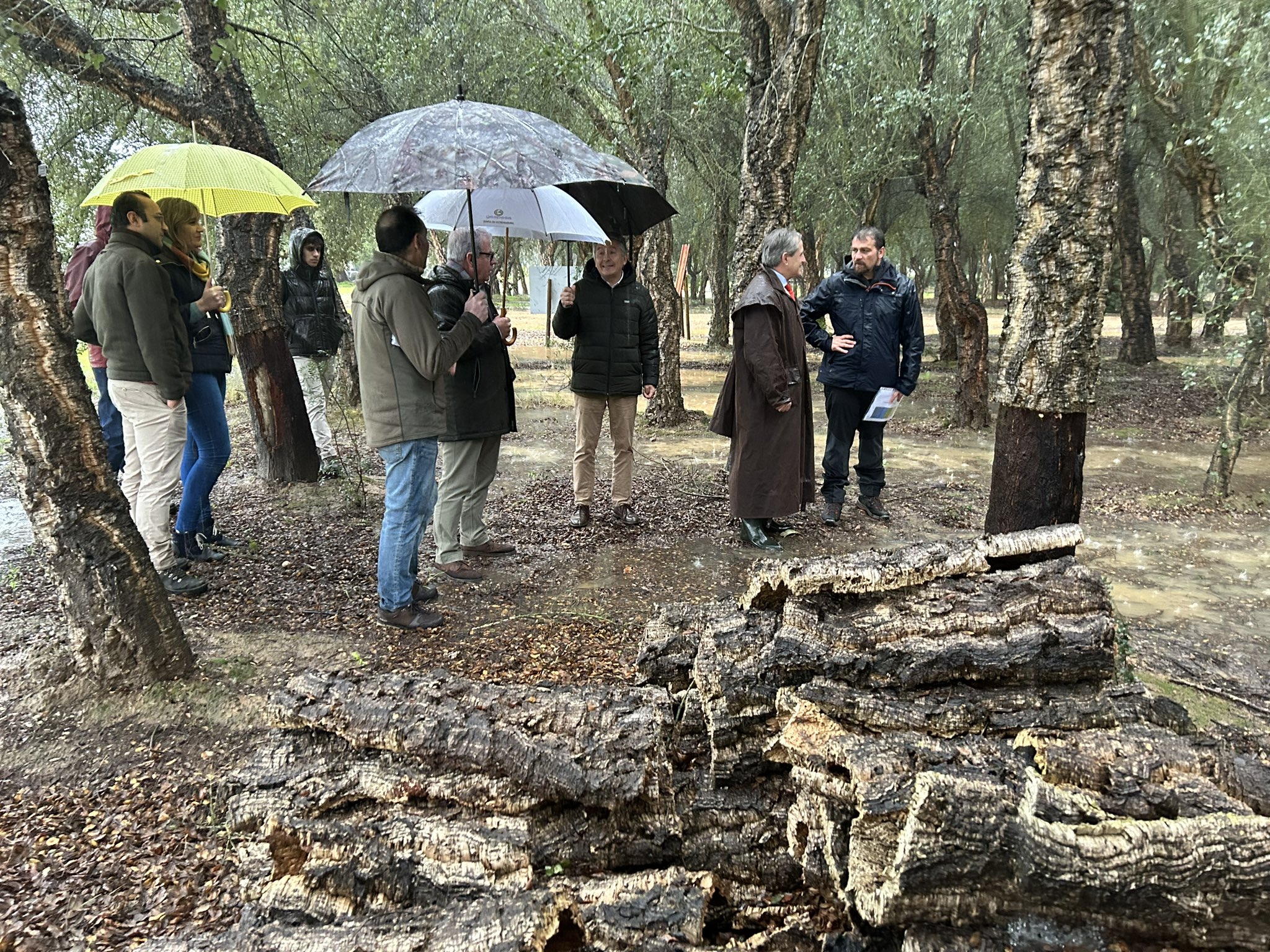 Image 2 of article El consejero de Gestión Forestal y Mundo Rural destaca el trabajo de los viveros para garantizar el futuro de la dehesa extremeña