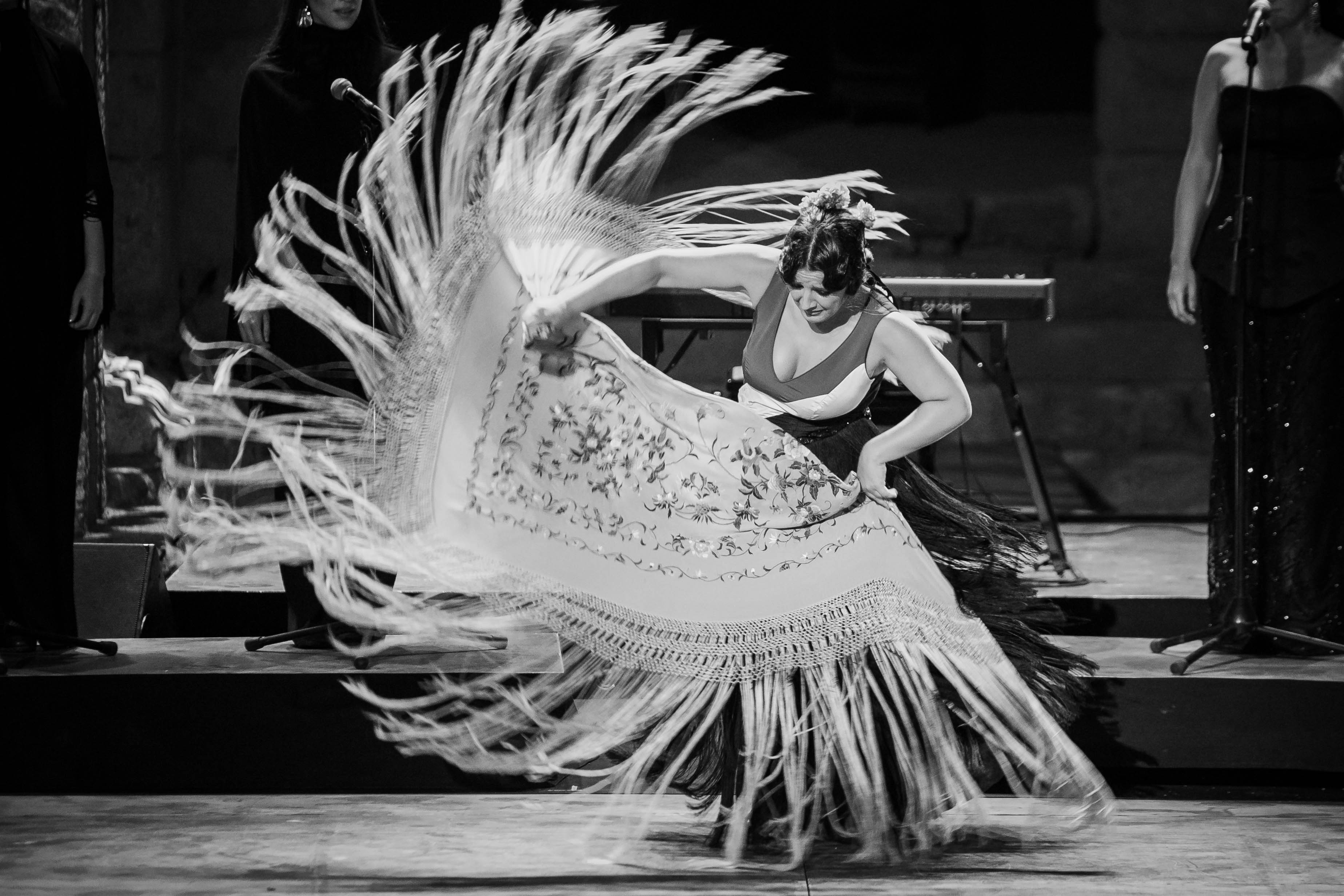 La bailaora bailando