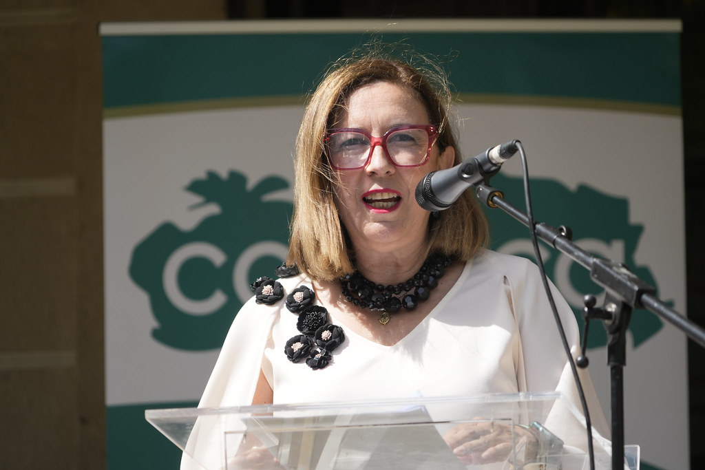 Imagen de portada