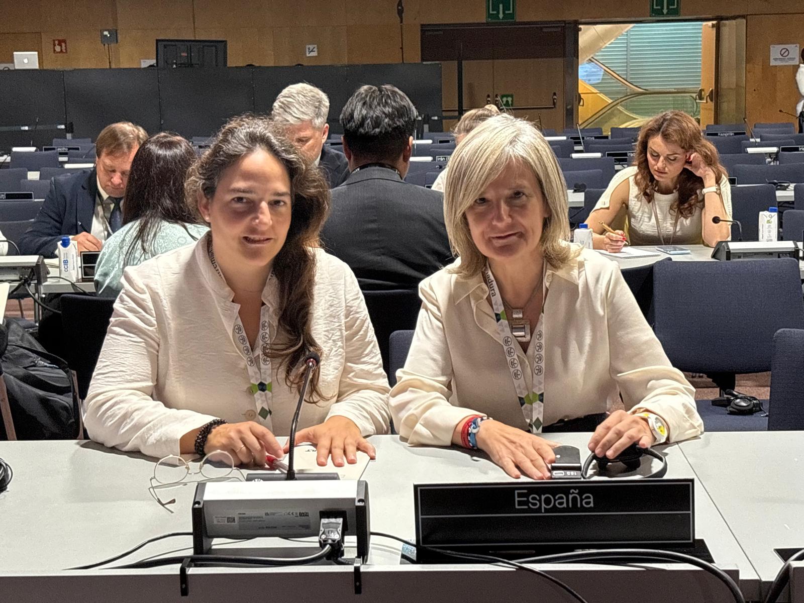 La consejera de Cultura en la Conferencia Mundial de la UNESCO sobre Políticas Culturales foto 3