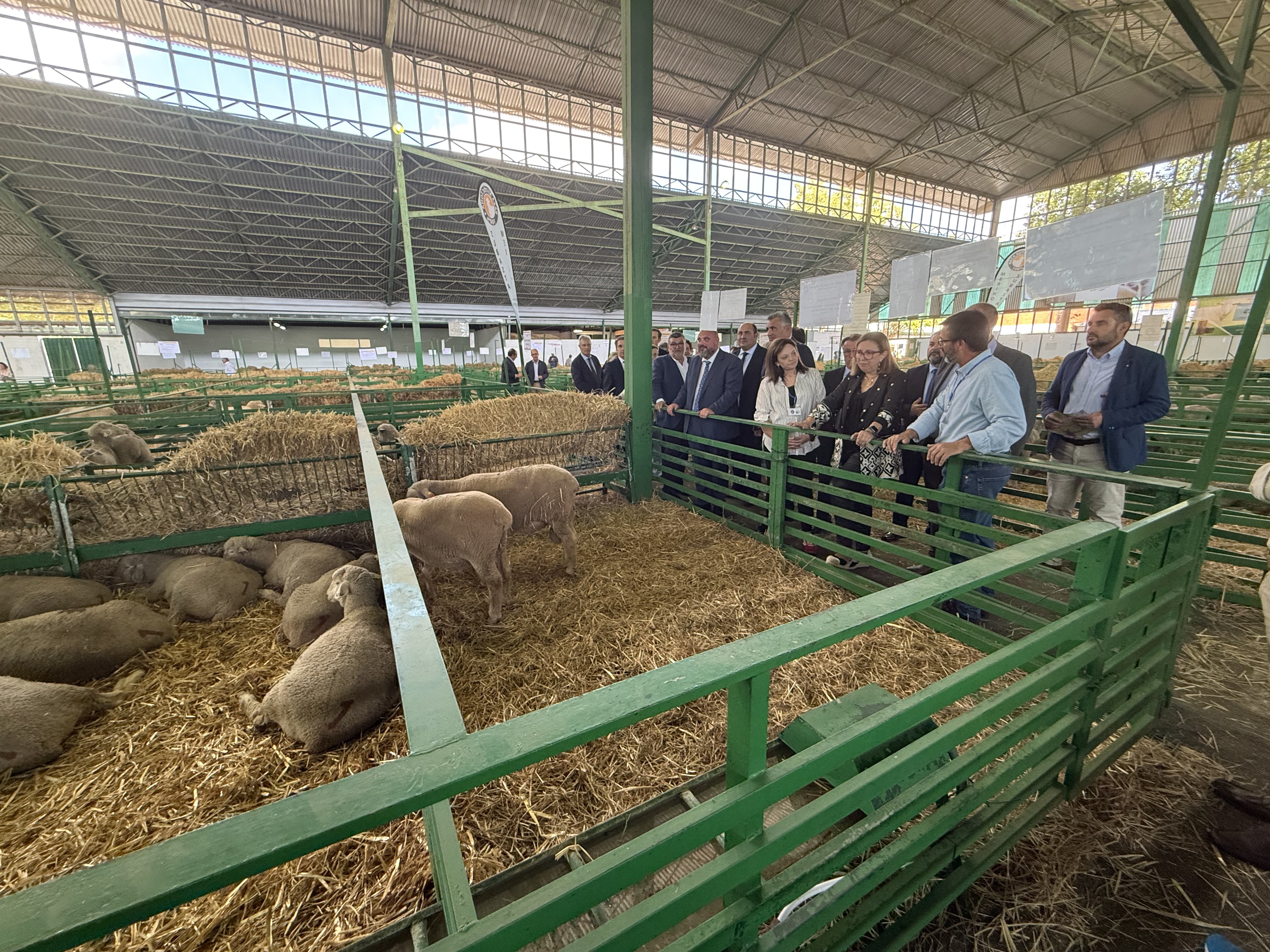 Imagen de carrusel 09