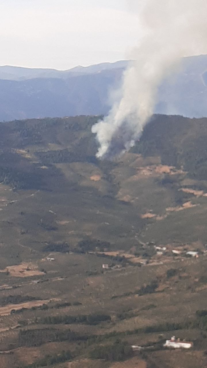 Imagen de portada