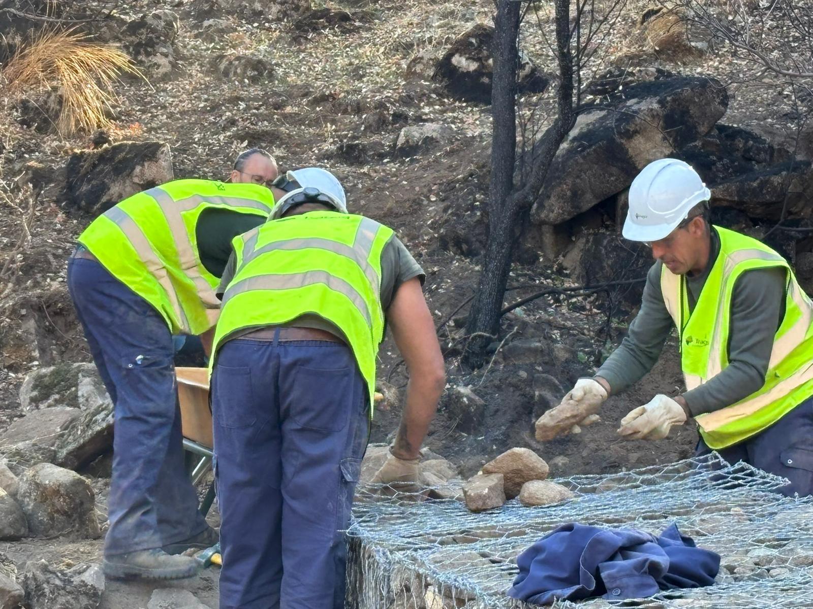 Operarios actúan sobre el terreno