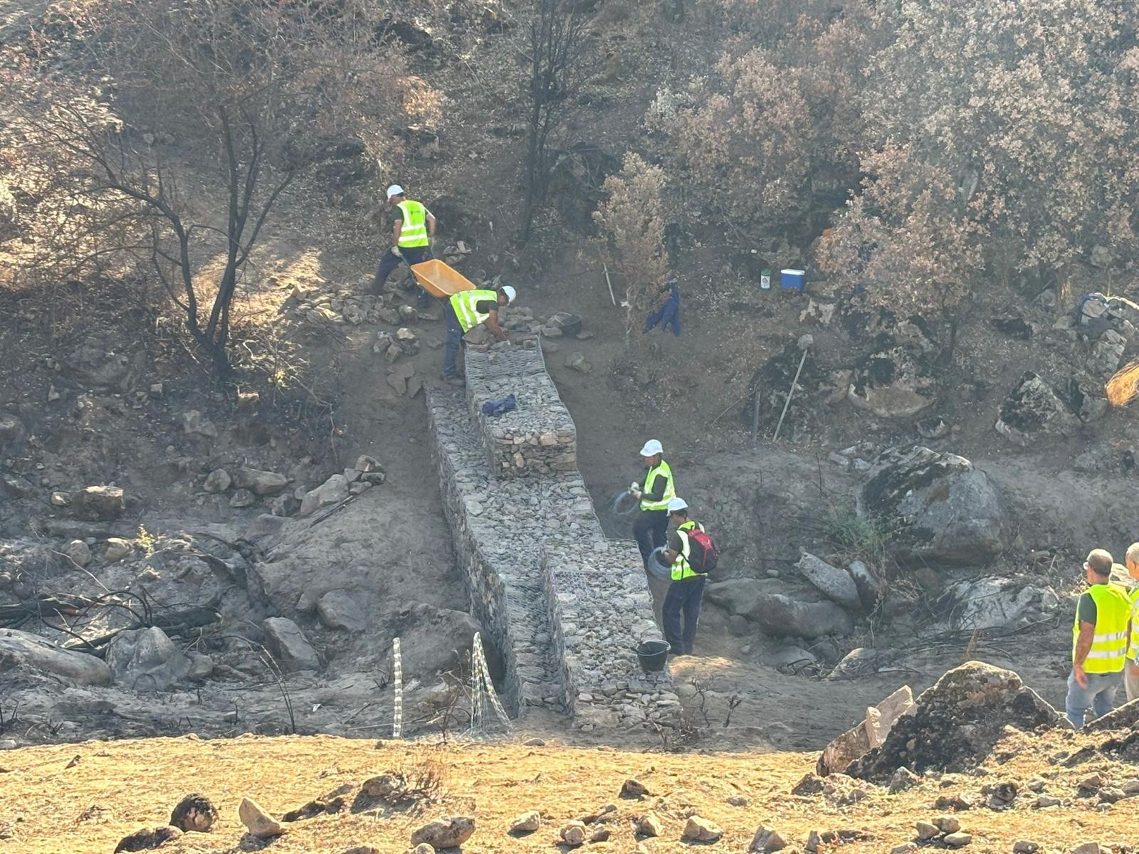 Actuaciones sobre el terreno