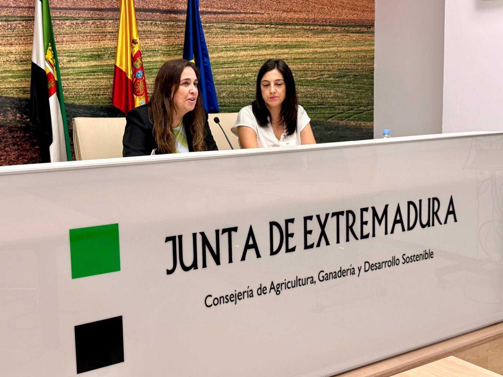Presentación