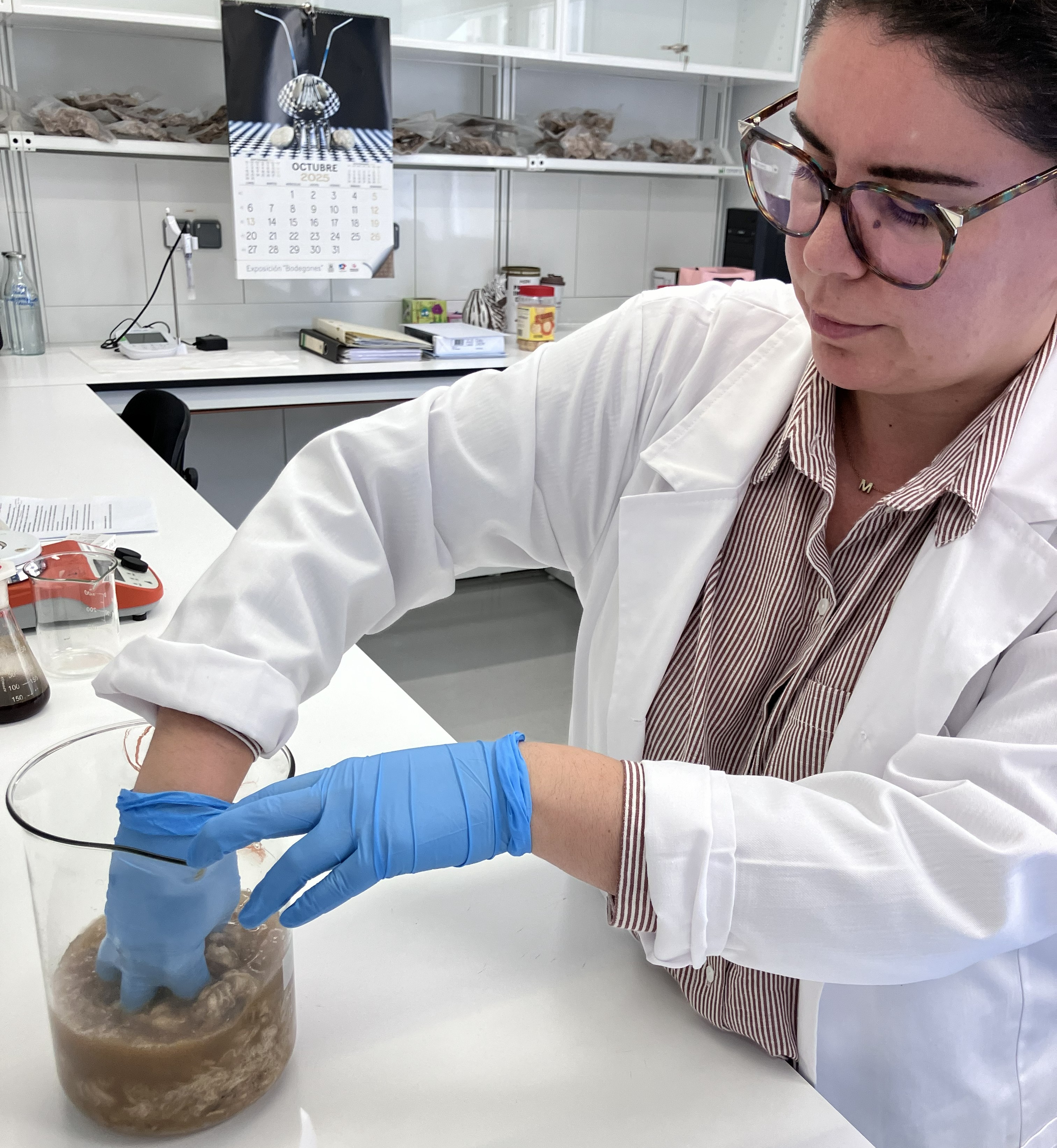 Proyecto del Cicytex que aprovecha la lana de menor calidad foto 1