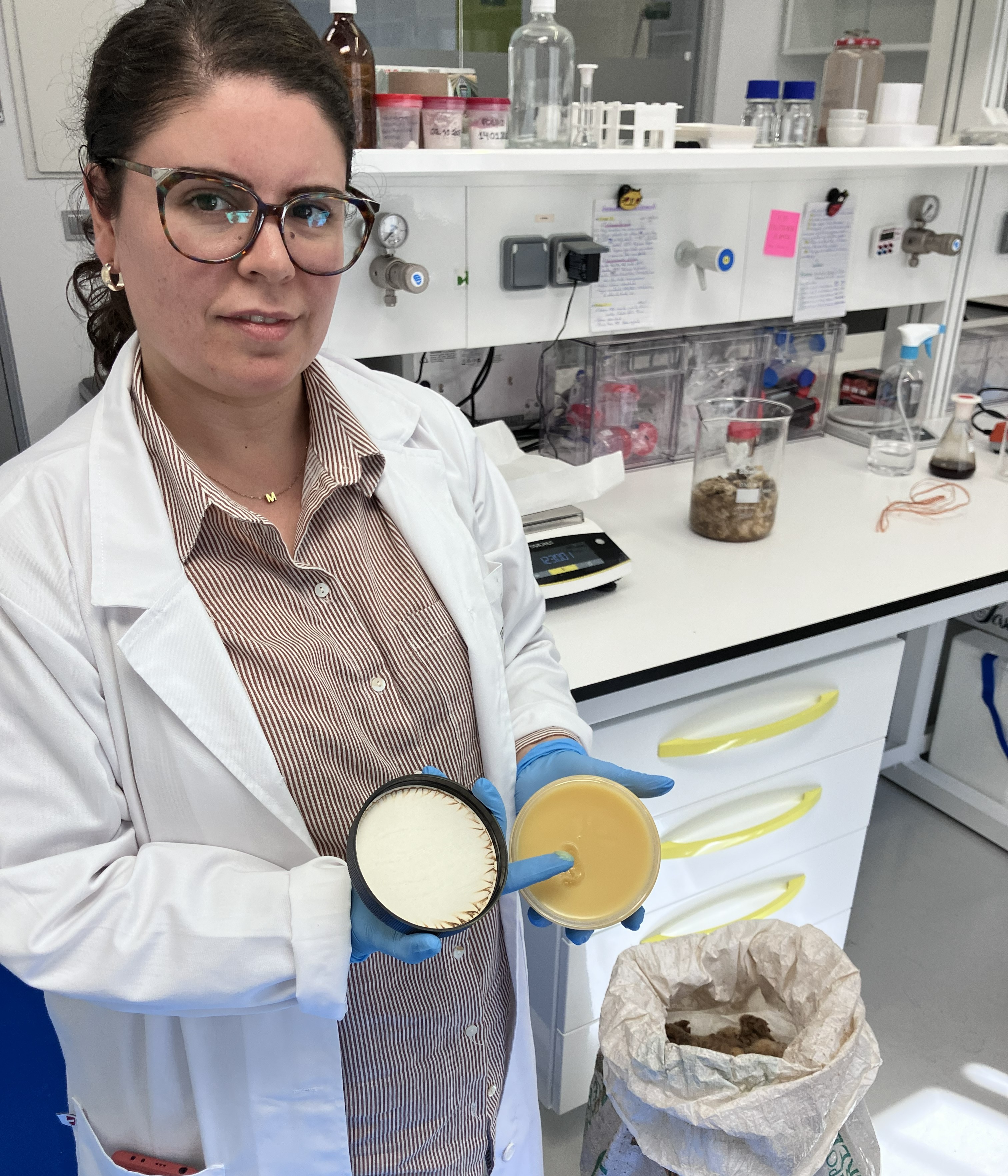 Proyecto del Cicytex que aprovecha la lana de menor calidad foto 2