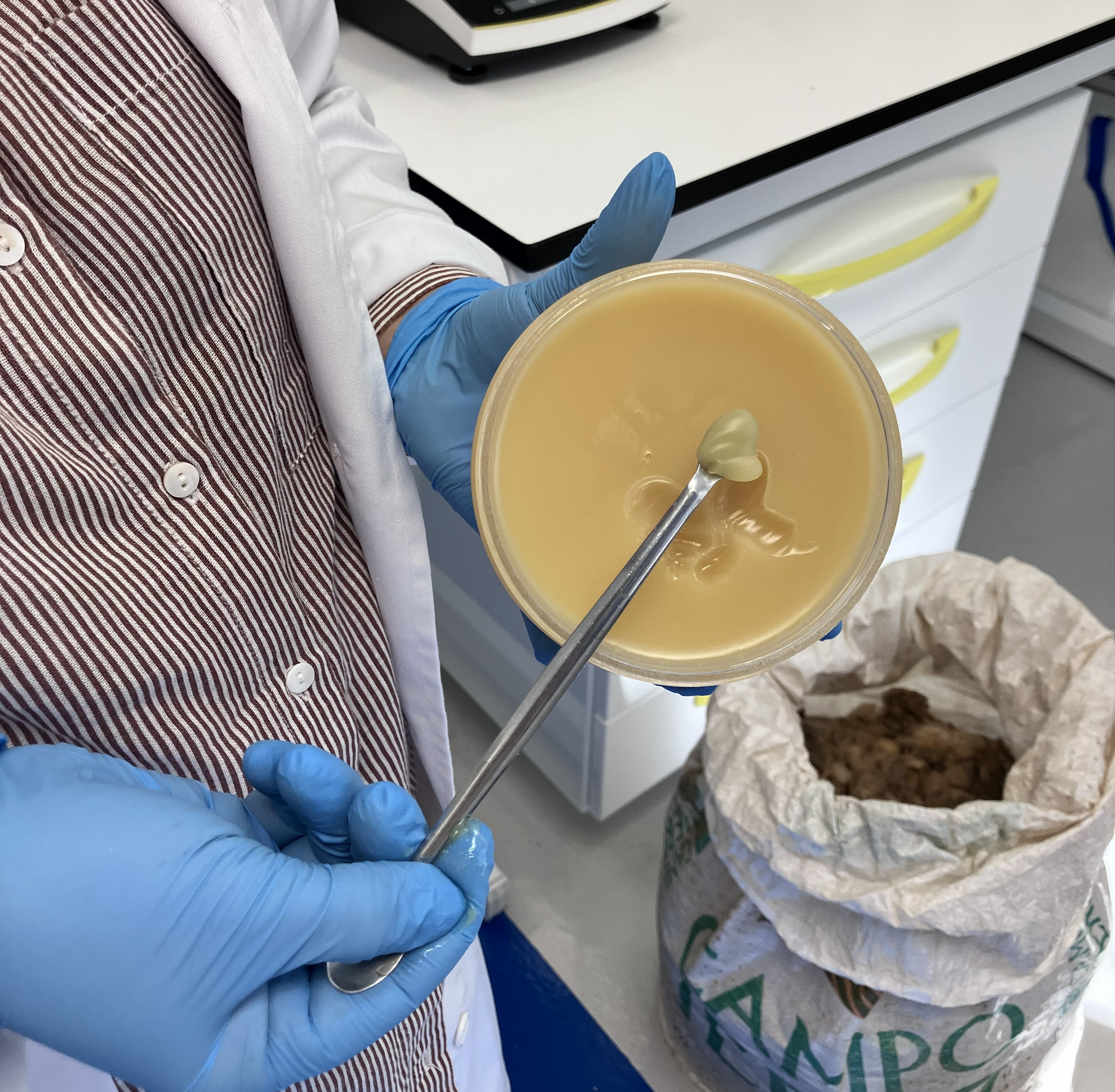 Proyecto del Cicytex que aprovecha la lana de menor calidad foto 3