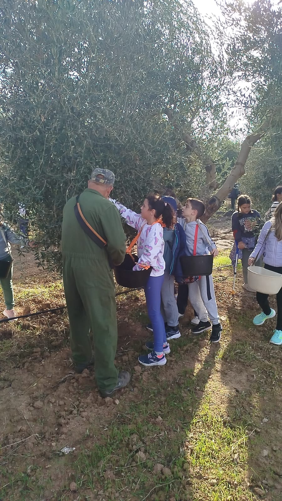 Imagen de la noticia