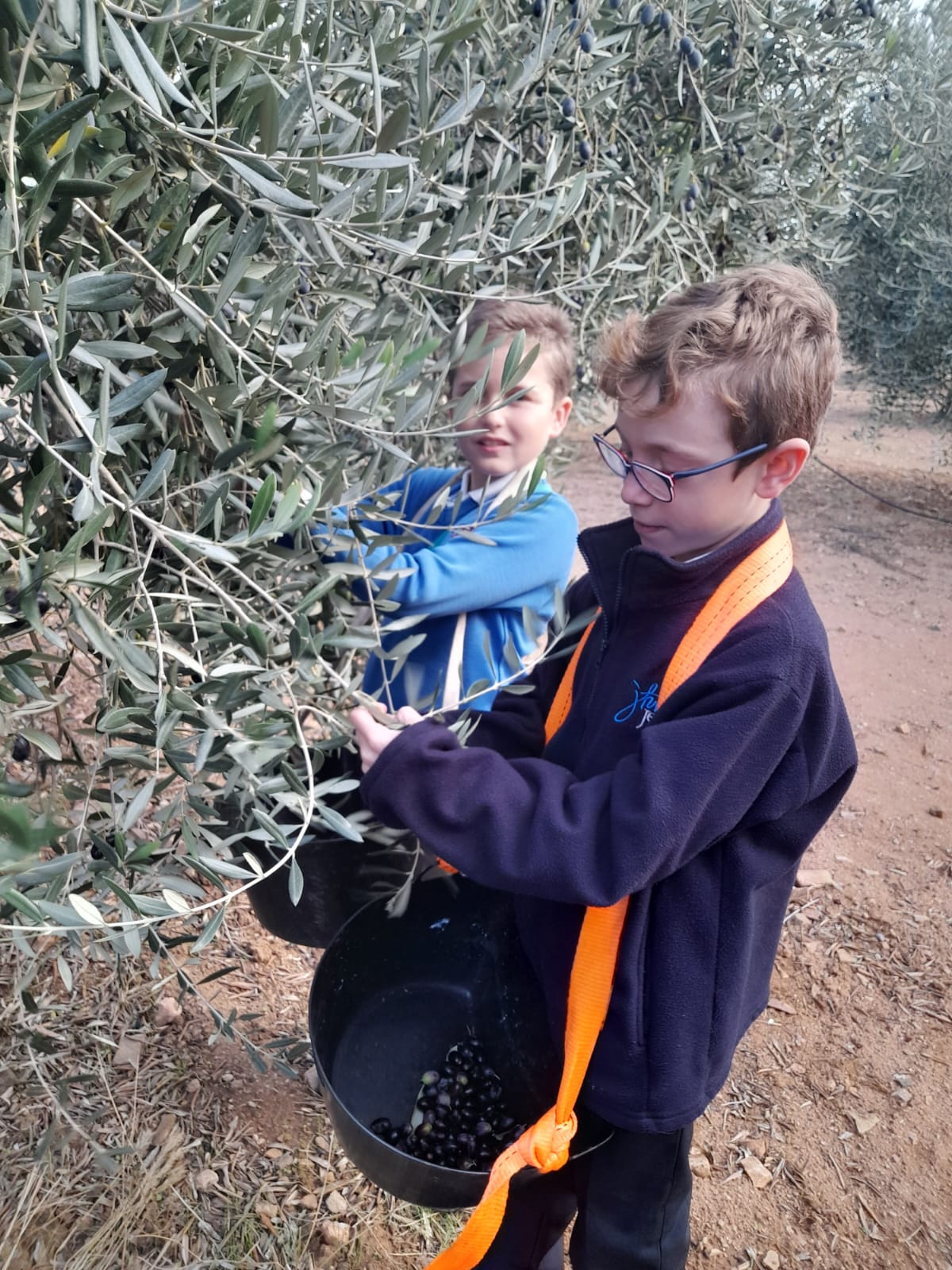 Imagen de la noticia