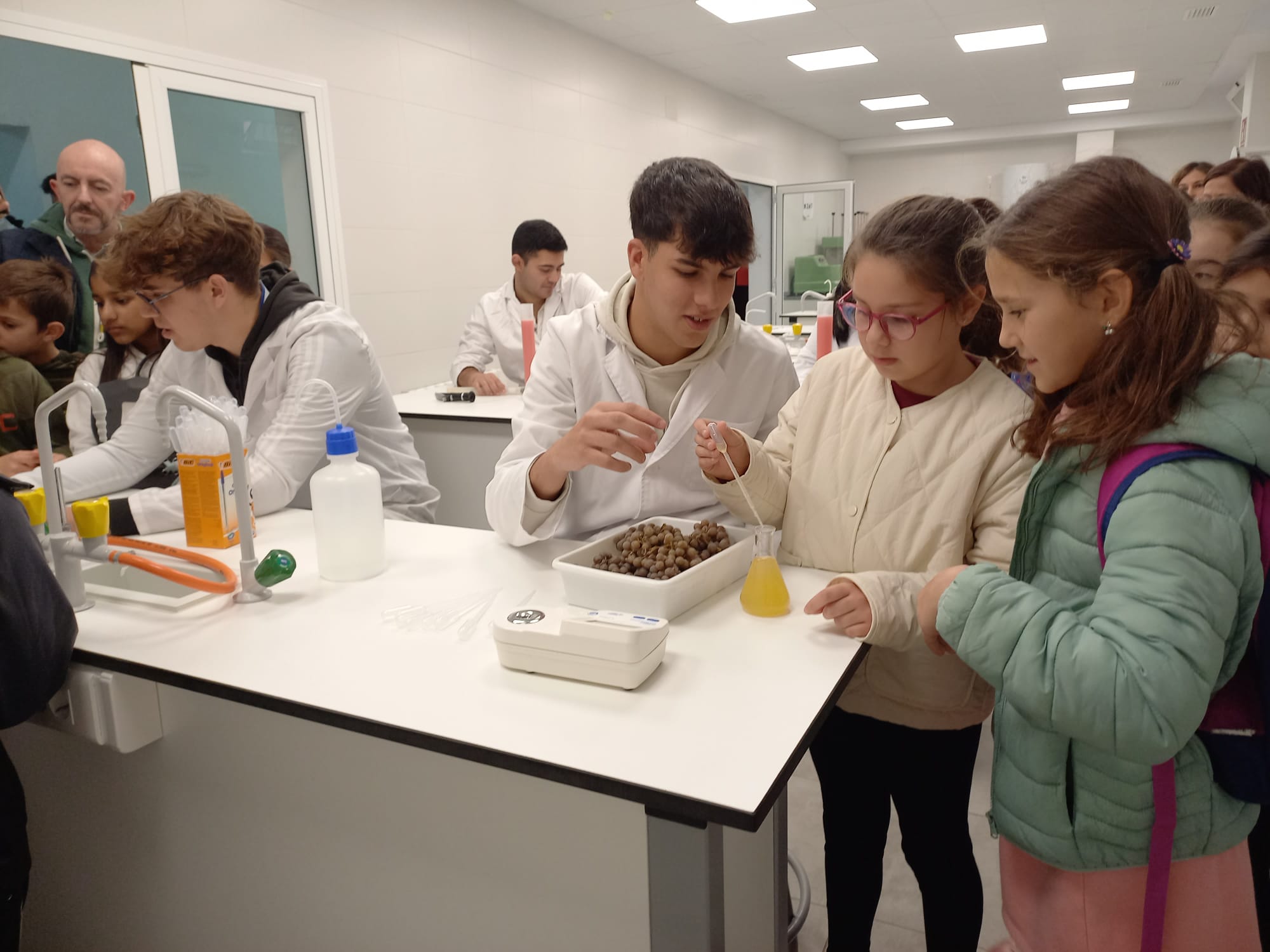 Imagen de la noticia