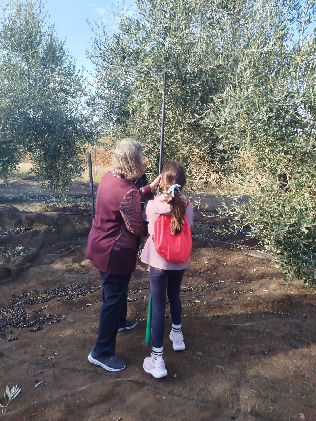 Imagen de la noticia