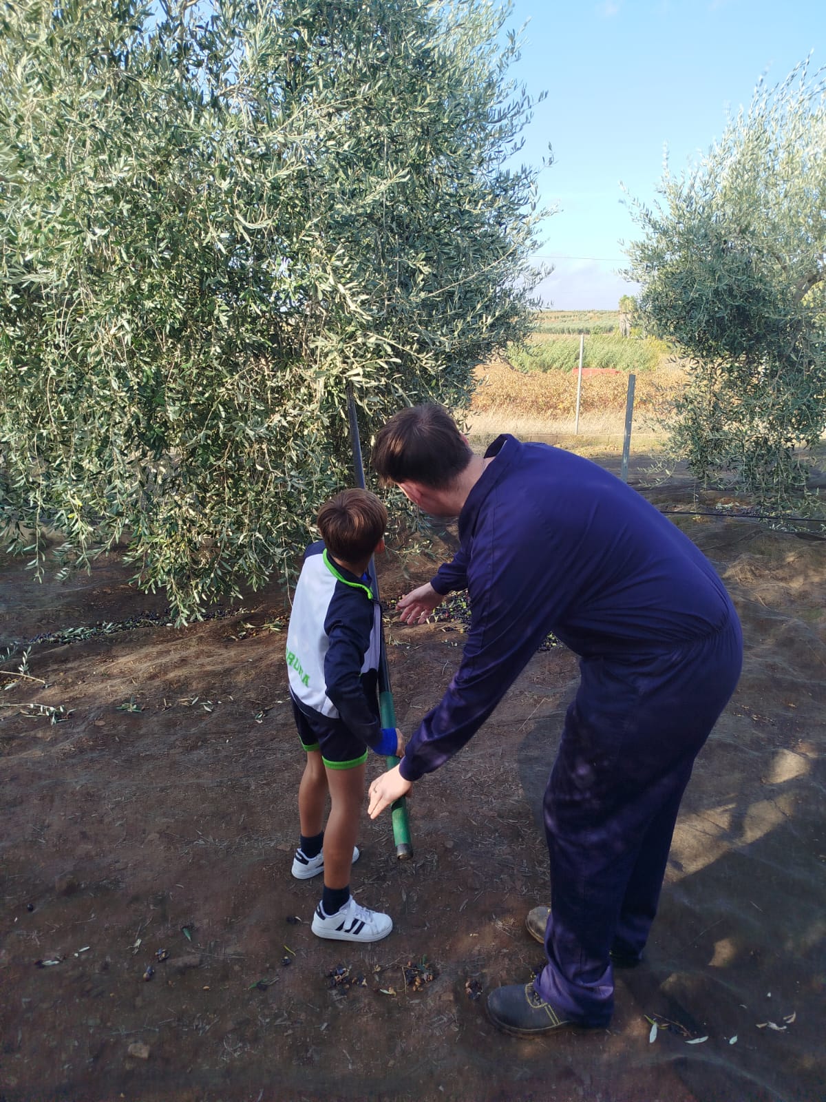 Imagen de la noticia