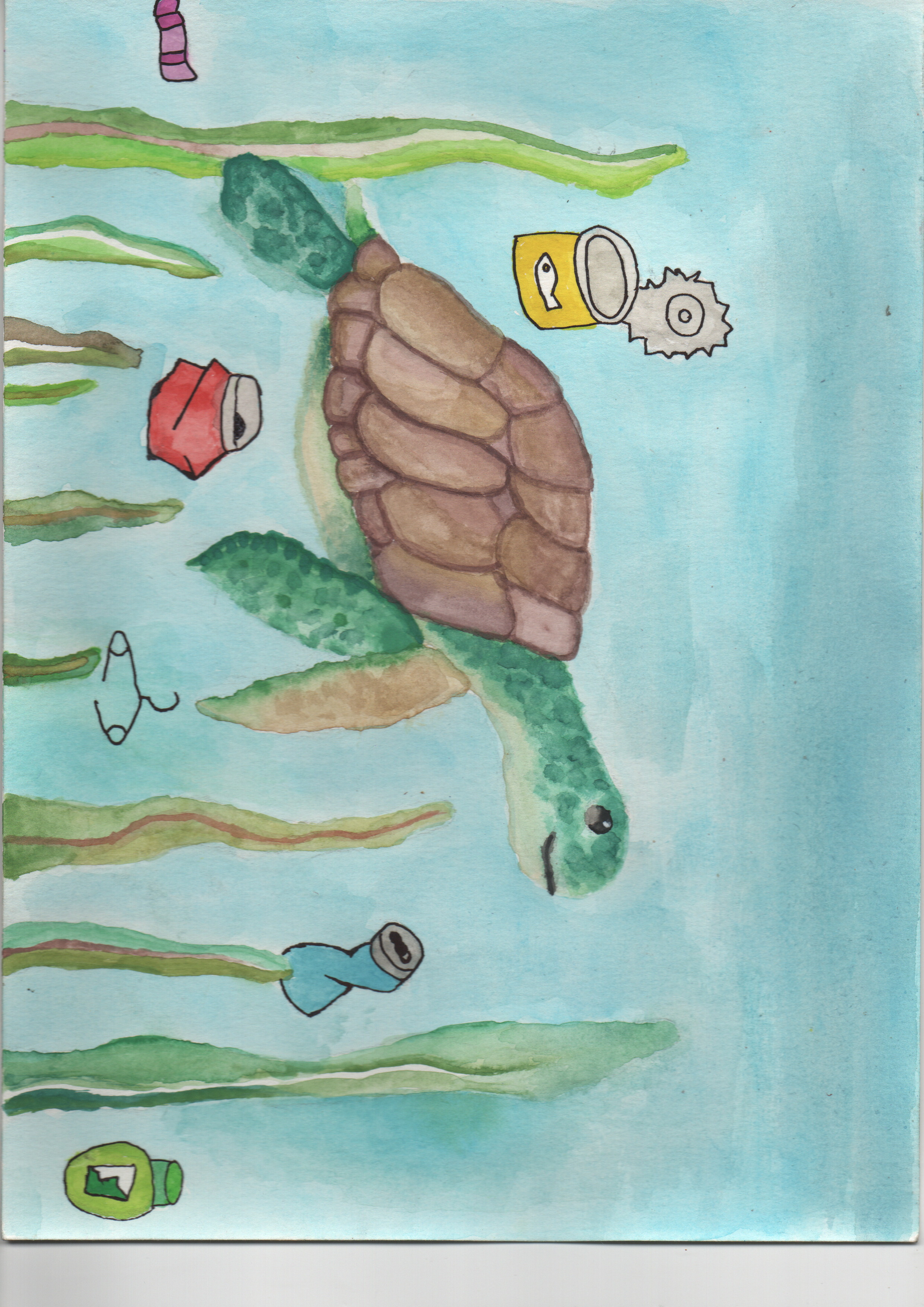 Dibujo de tortuga