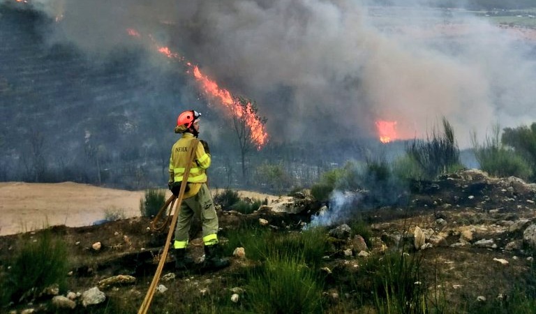 Imagen de la noticia