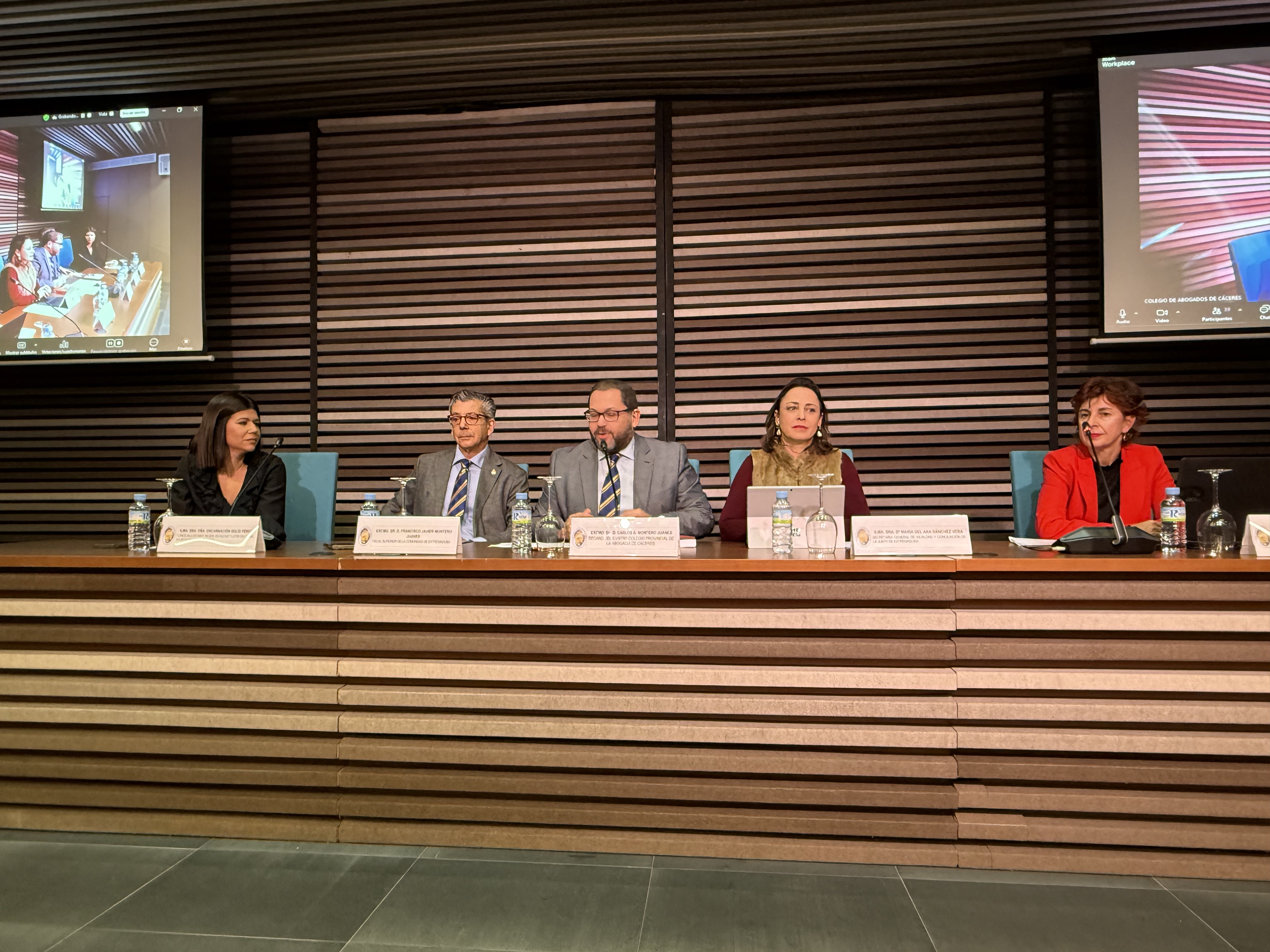 Foto de Sánchez Vera destaca la importancia de formar a los profesionales de la abogacía en violencia de género, tanto en aspectos jurídicos como emocionales