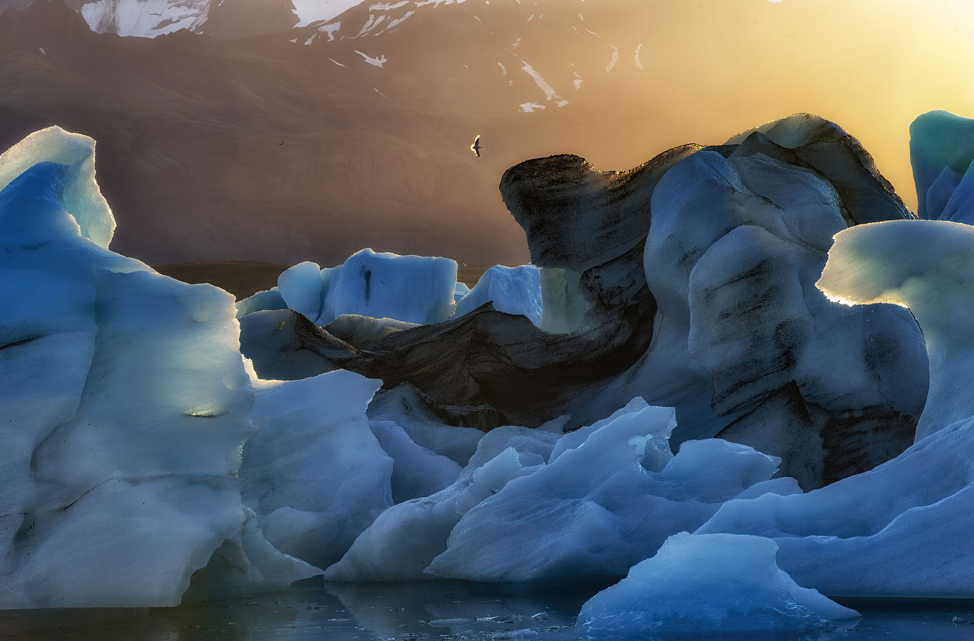 'Iceberg' de Stanislao Basileo