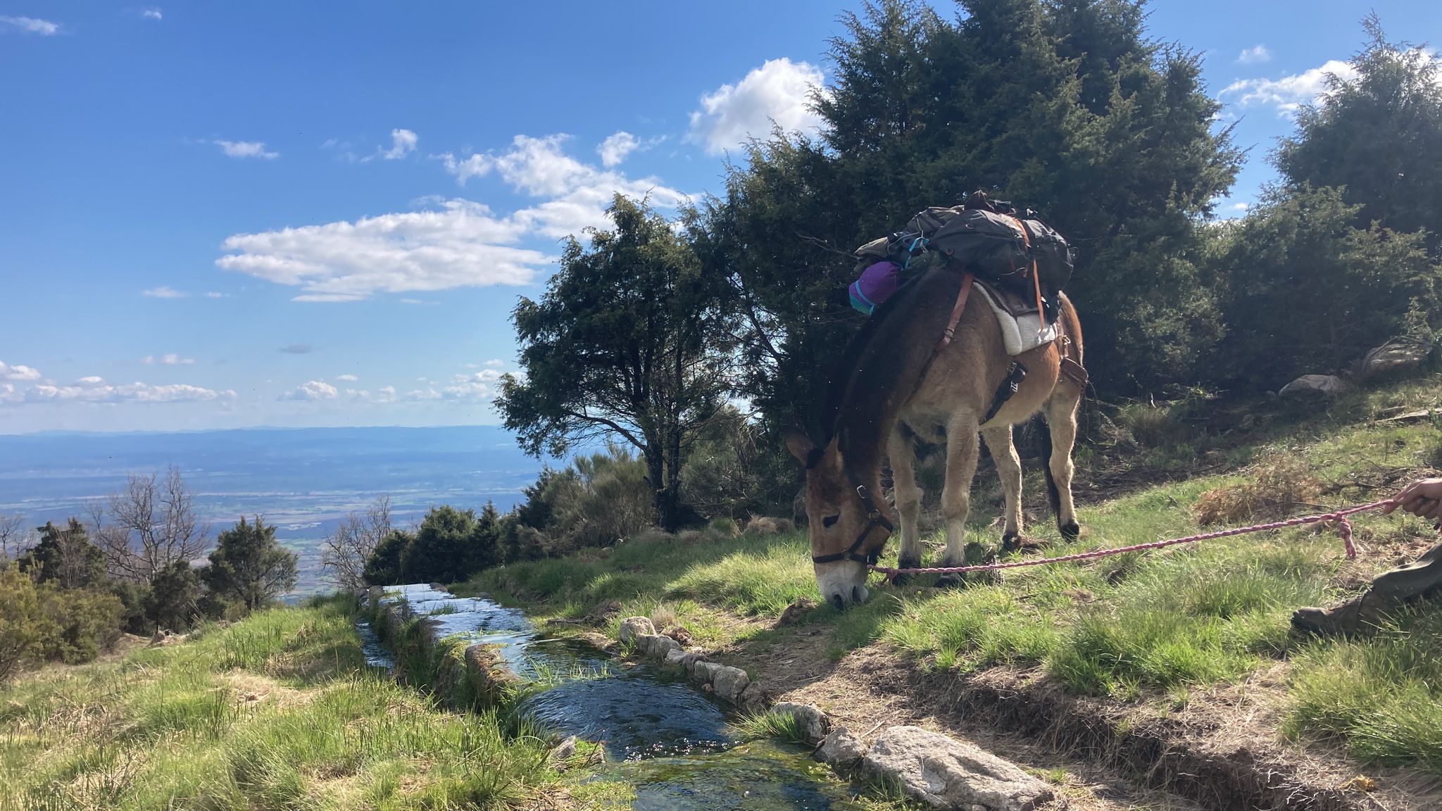 Foto de La Junta de Extremadura amplía su catálogo de montes protectores con la incorporación de Coto Sierra, en la comarca de La Vera