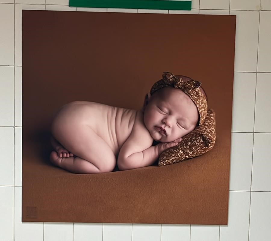 Image 1 of article El Hospital Materno Infantil de Badajoz acoge una exposición de fotografías de recién nacidos y mujeres embarazadas