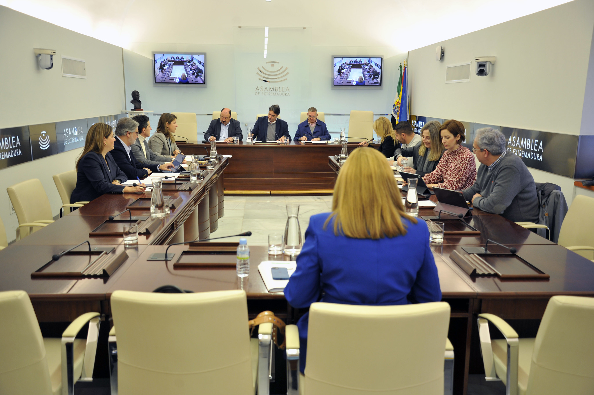 La secretaria general de Educación, María del Pilar Pérez, durante la Comisión de Educación 