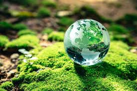Imagen de Gasto en protección ambiental