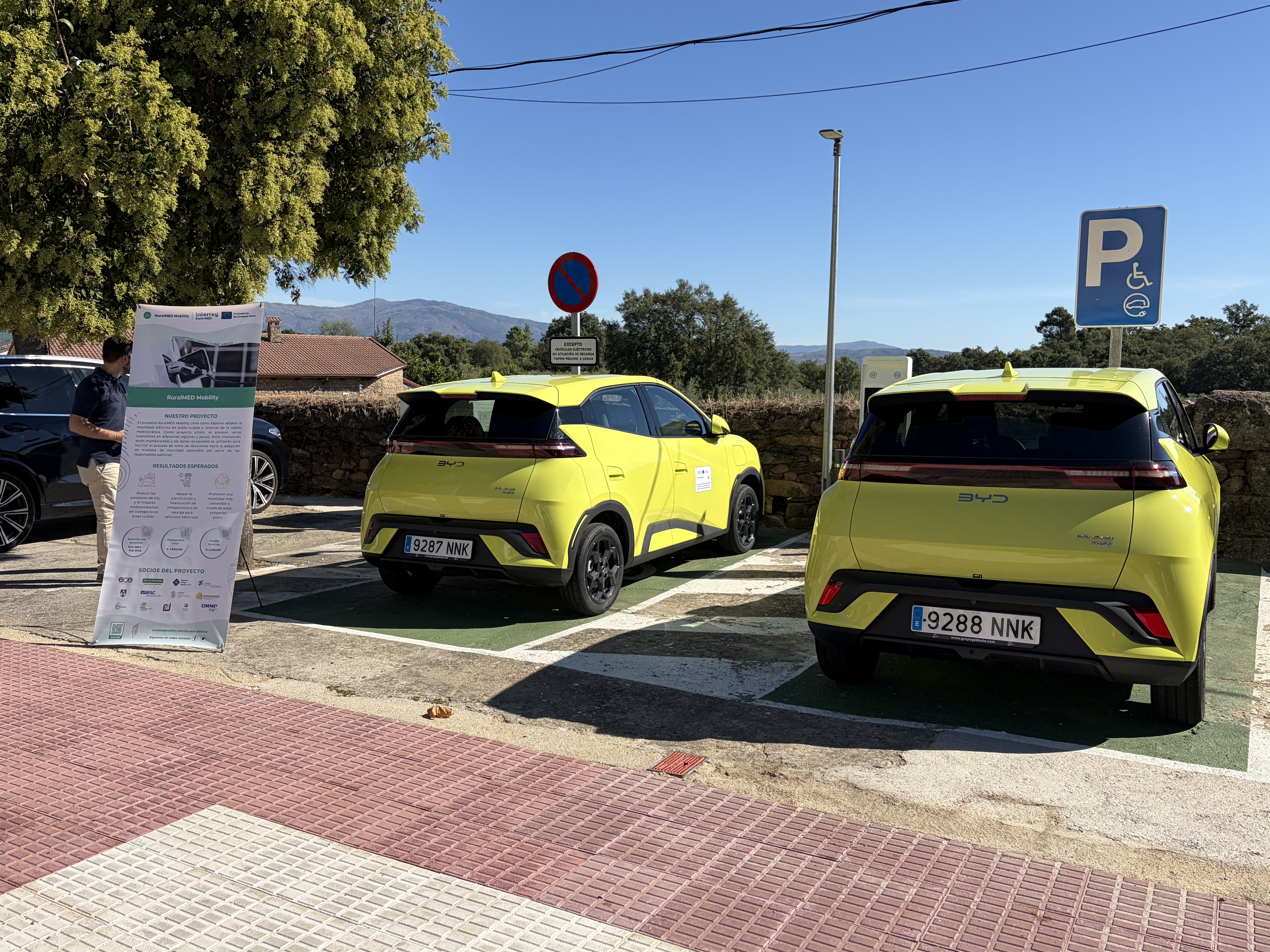Coches eléctricos