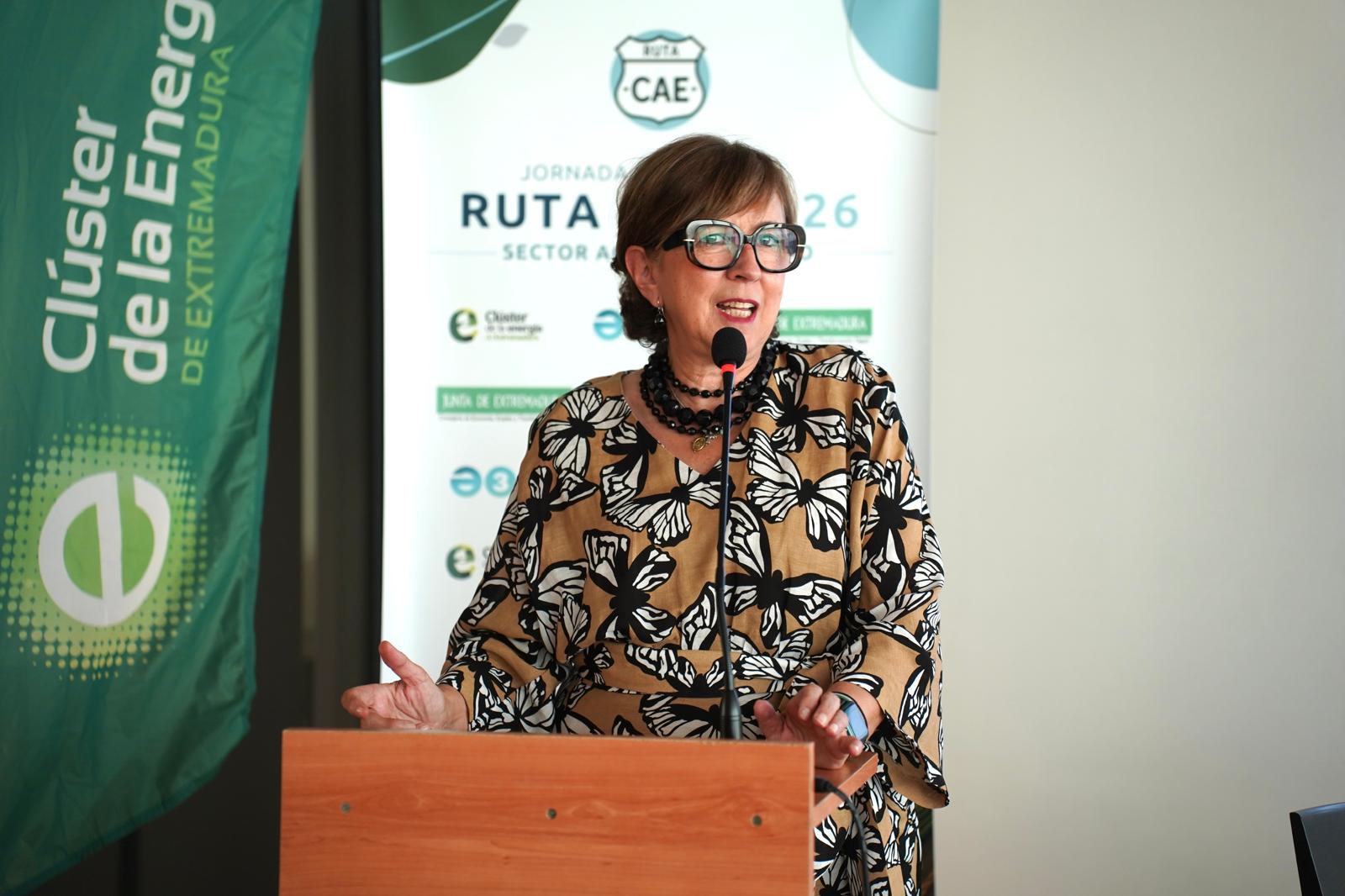 La consejera de Industria, Energía, Ciencia y Territorio, Mercedes Morán, en la clausura.