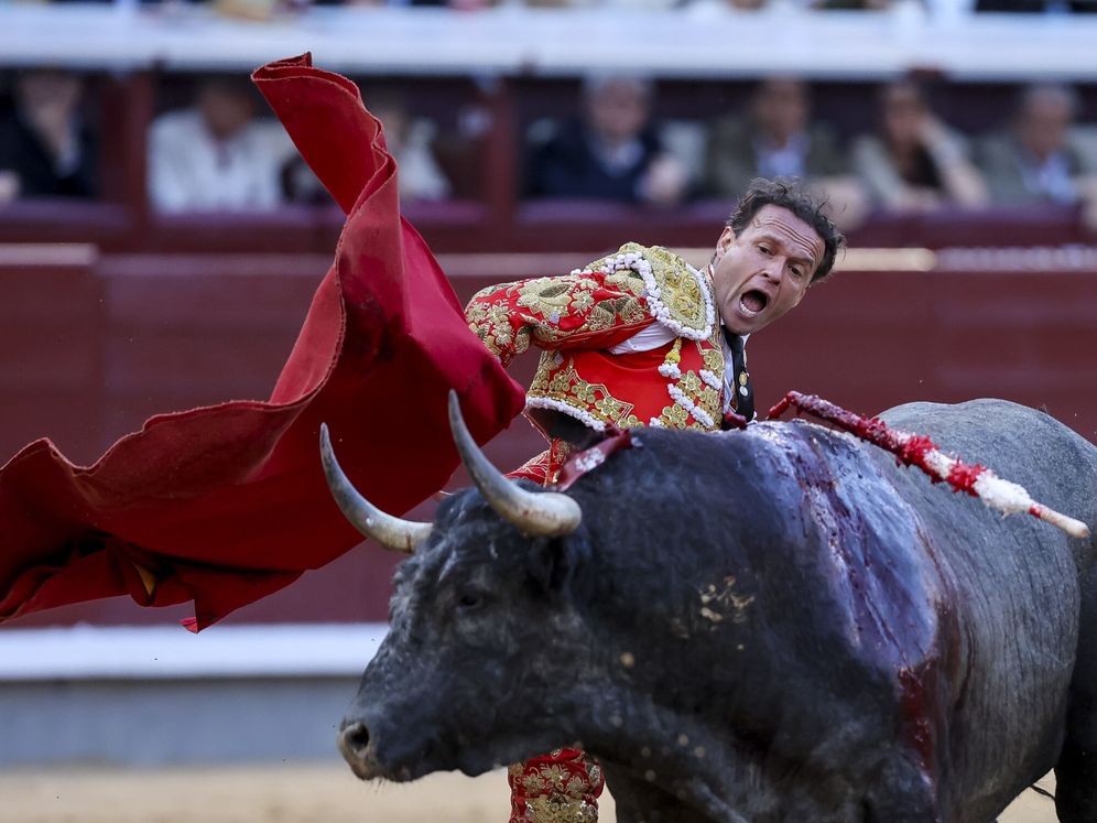 Imagen de portada