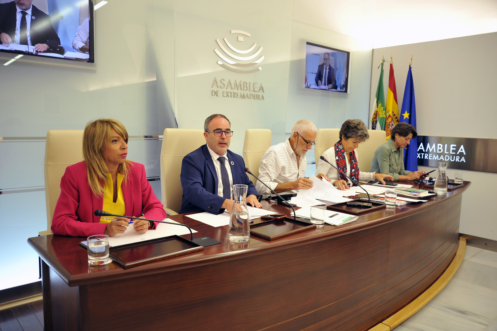 Comparecencia del director general de Turismo en la Asamblea de Extremadura