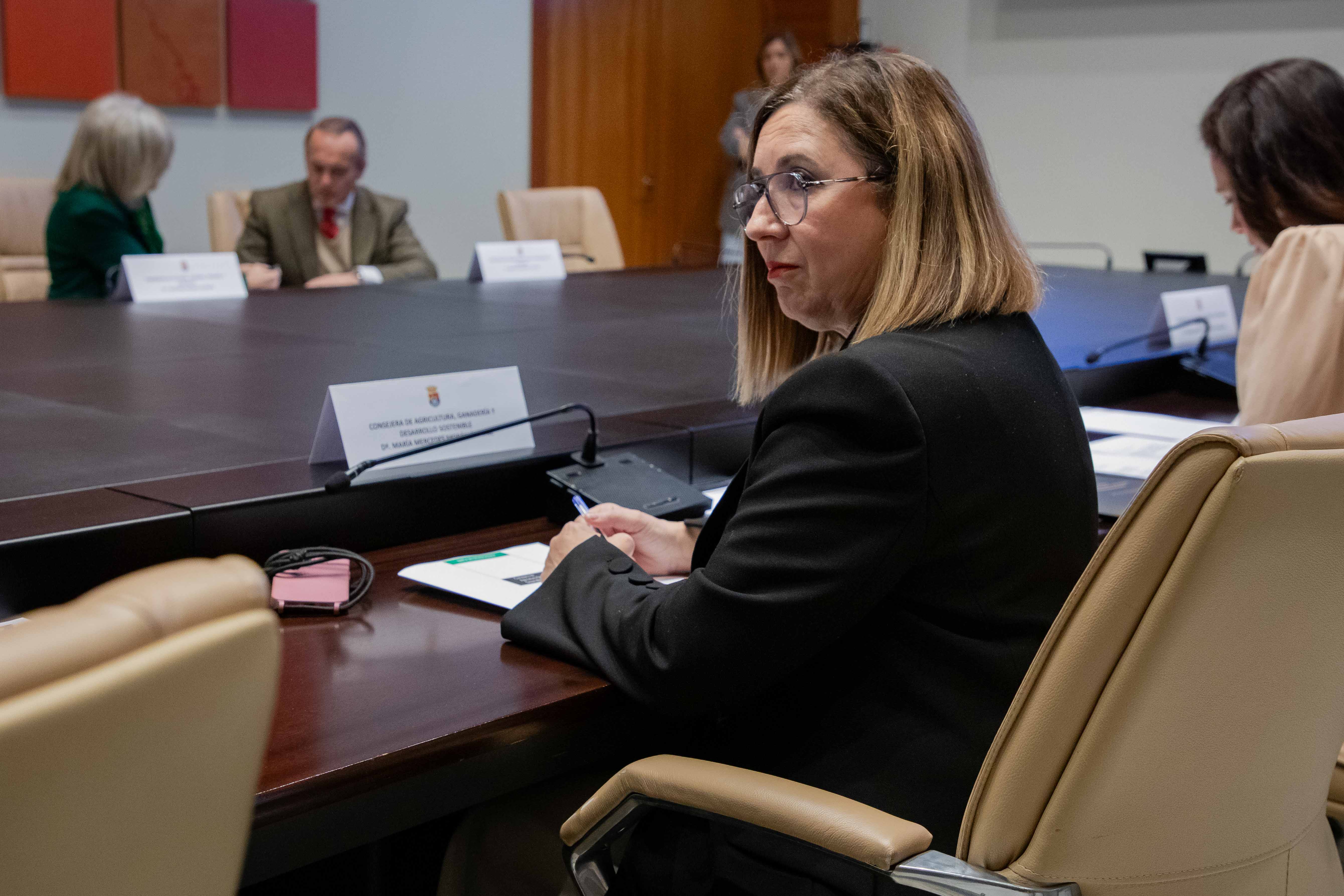 Imagen de la reunión del Consejo de Gobierno