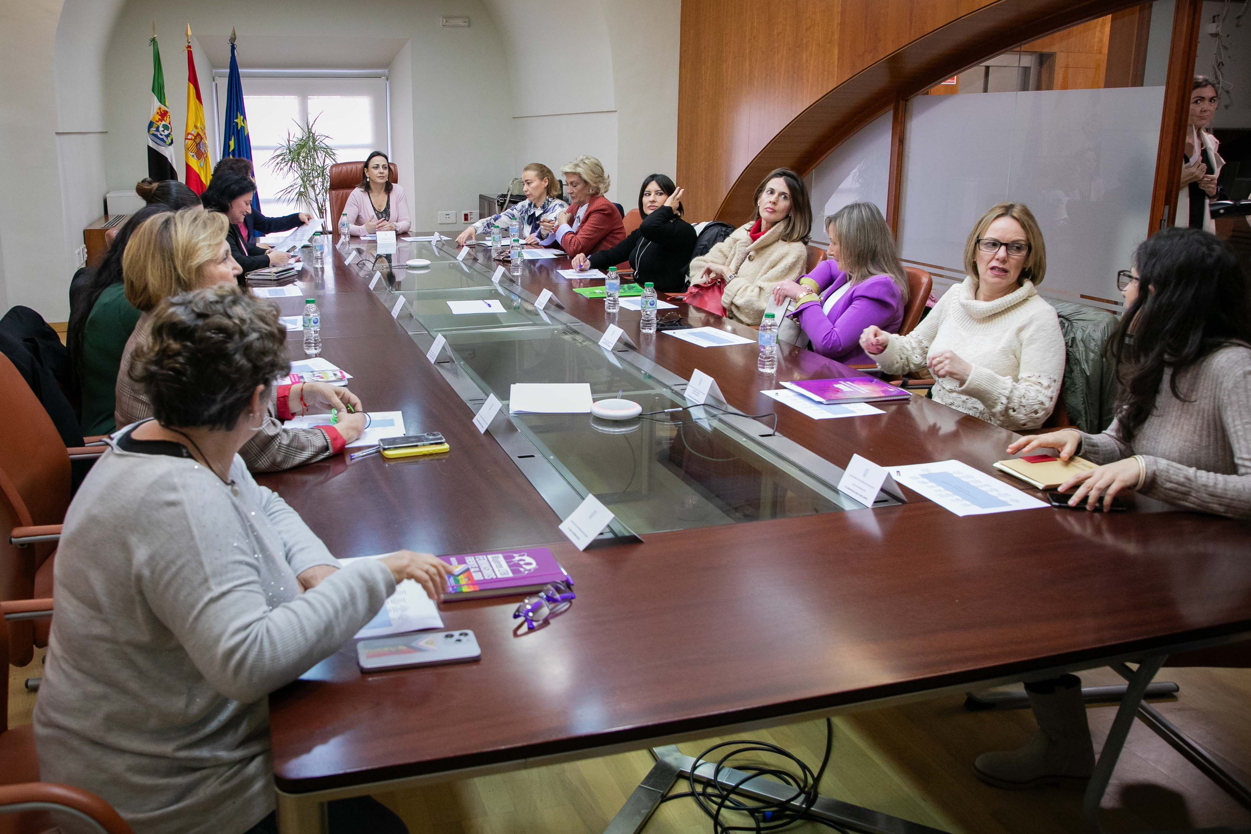Image 3 of article El Consejo Extremeño de Participación de las Mujeres retoma su actividad para dar voz a asociaciones en favor de la igualdad