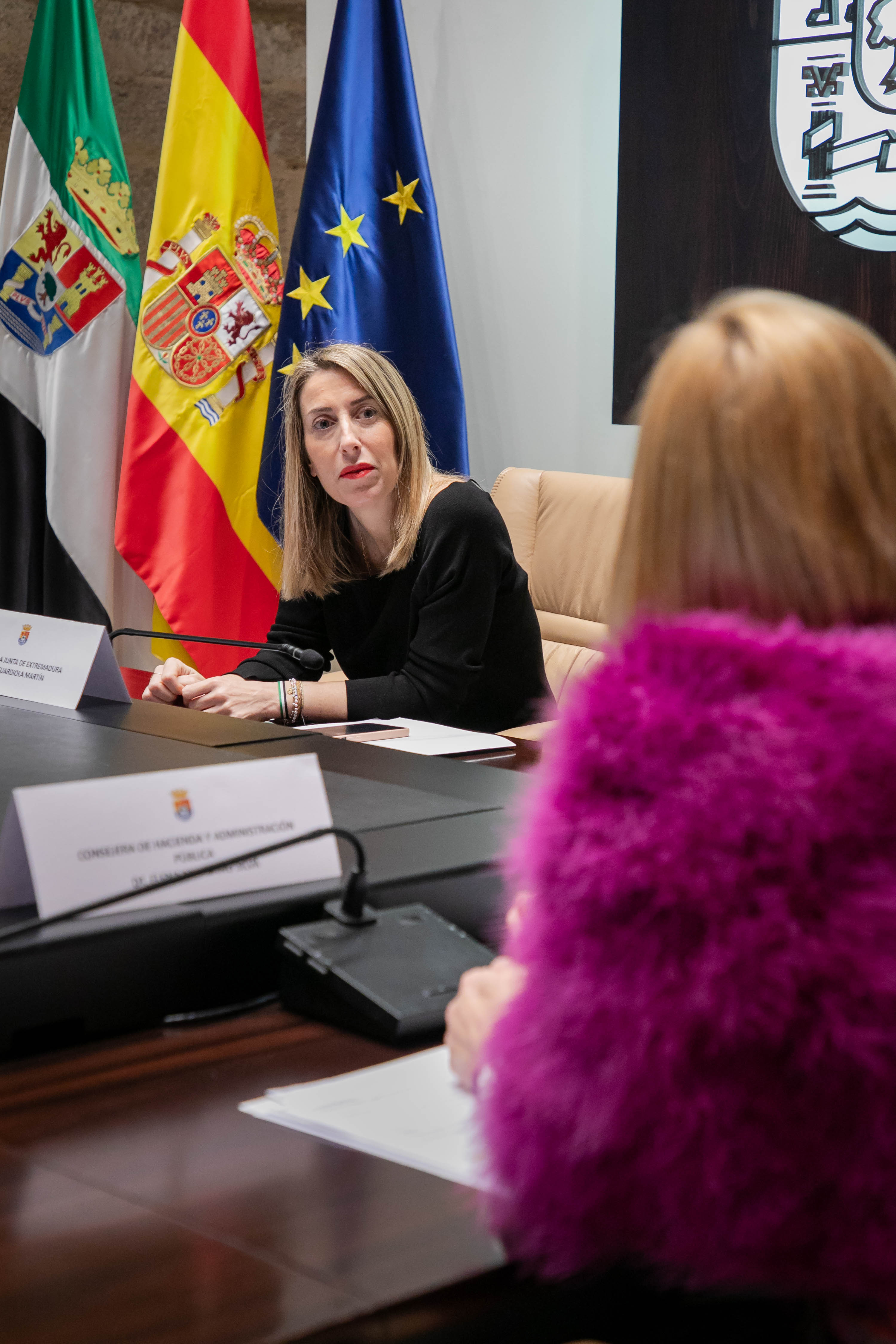 Reunión del Consejo de Gobierno.