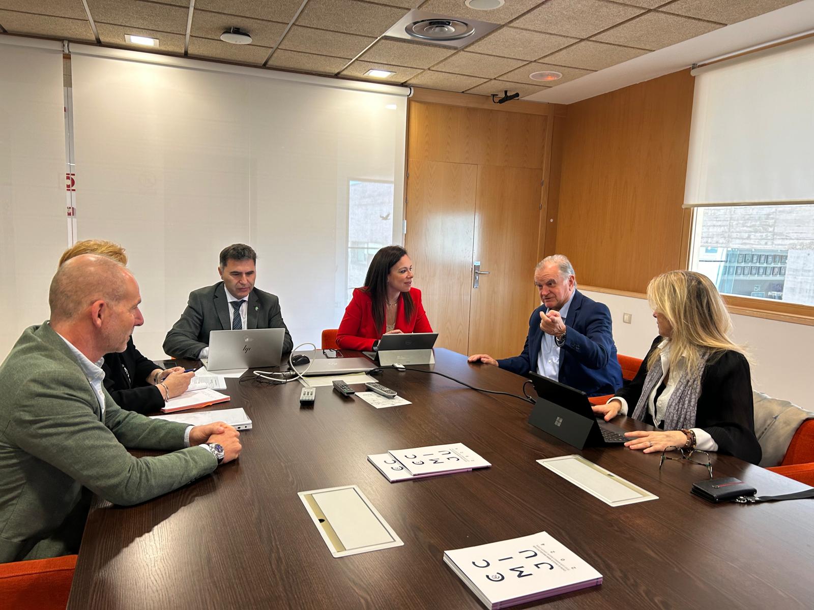 La consejera de Salud y Servicios Sociales, Sara Gª Espada, durante una reunión.