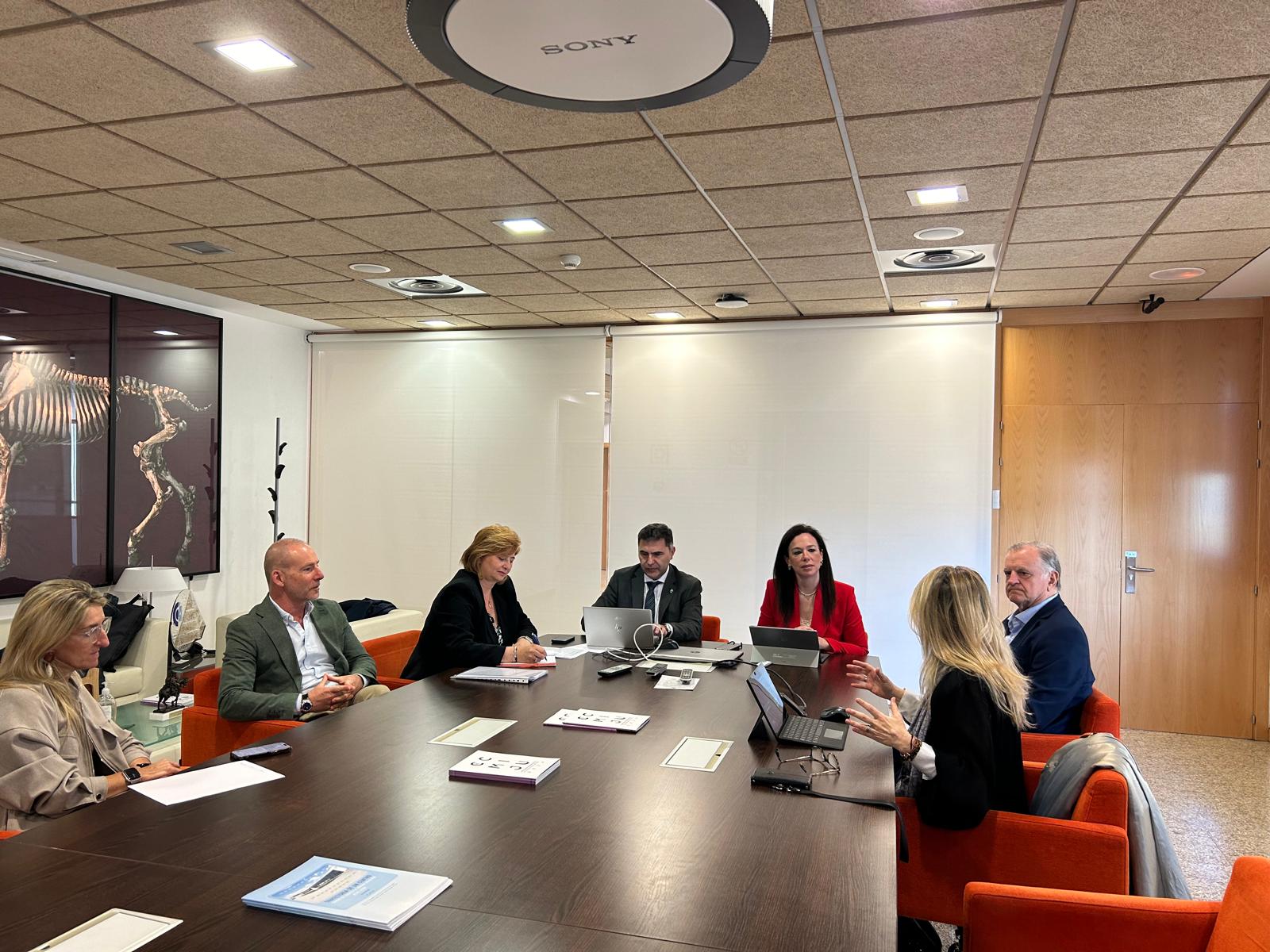 La consejera de Salud y Servicios Sociales, Sara Gª Espada, durante una reunión.